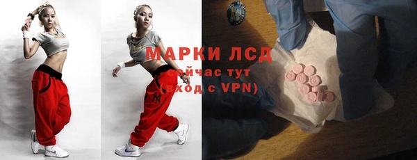 бошки Ельня