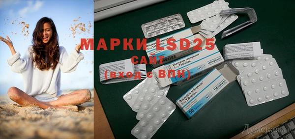 бошки Ельня
