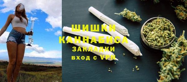 бошки Ельня