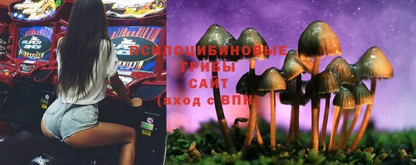 бошки Ельня