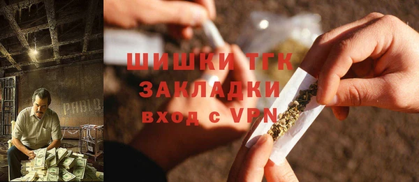 бошки Ельня