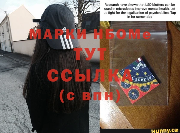 бошки Ельня