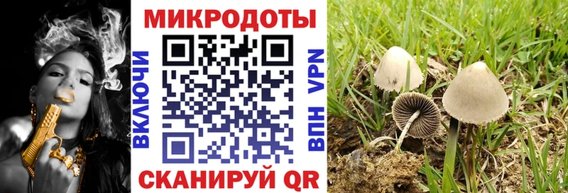 Купить  Кадников  Галлюциногенные грибы ЛСД 